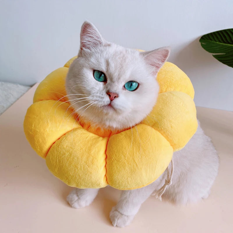 Pet Cat Cone Collar, Cute Elizabethan Cat Collar, Anti-Biting and Licking Wound Treatment Safe Cat Recovery Collar