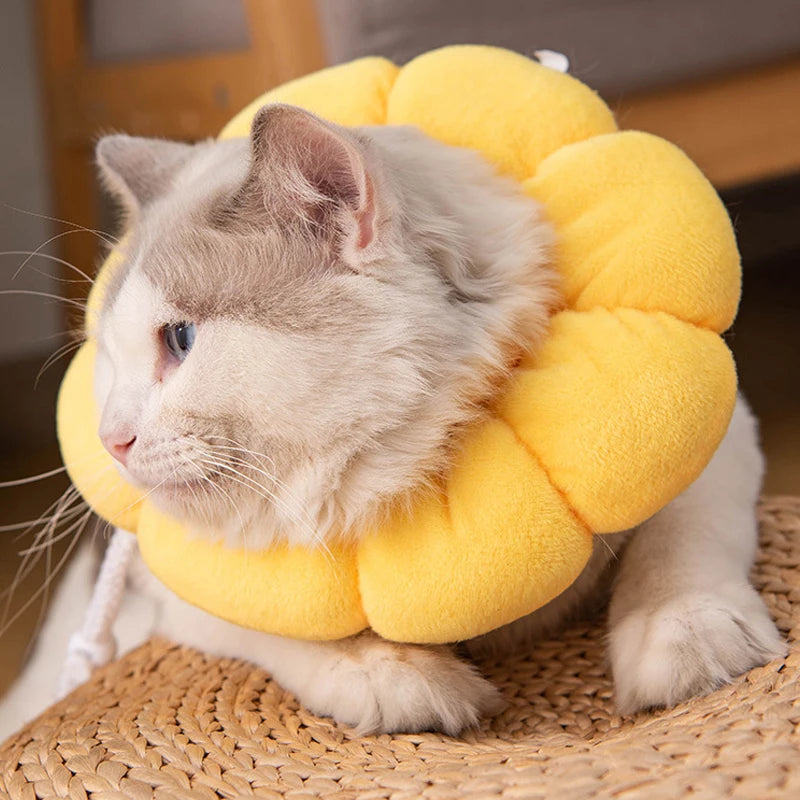 Pet Cat Cone Collar, Cute Elizabethan Cat Collar, Anti-Biting and Licking Wound Treatment Safe Cat Recovery Collar