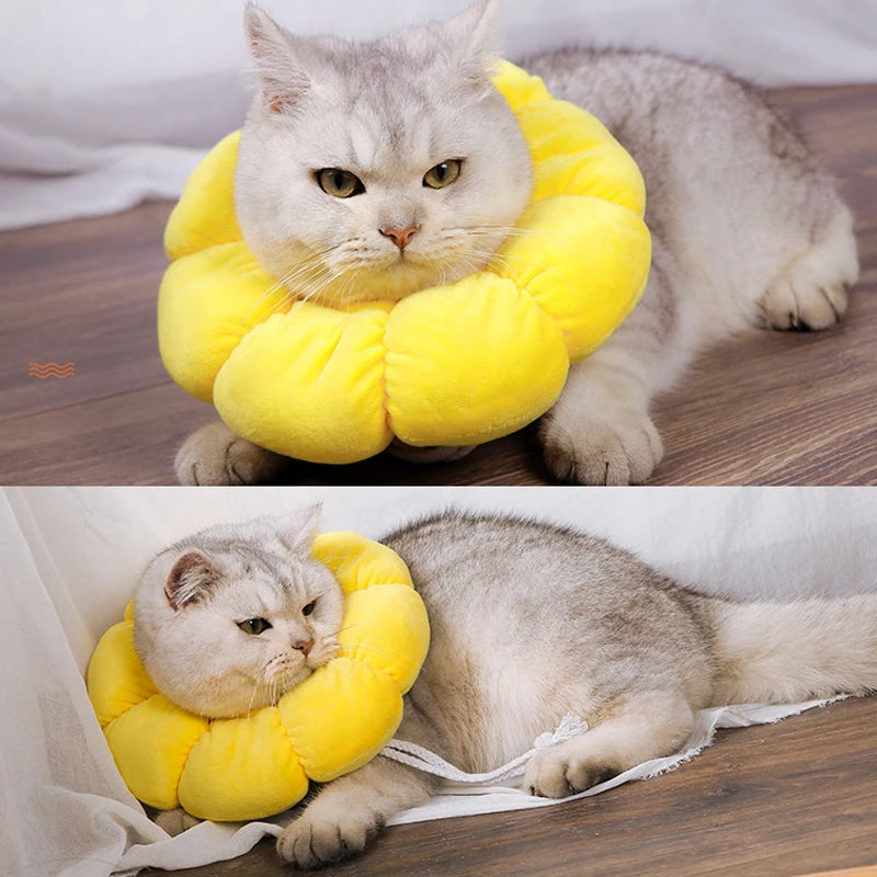 Pet Cat Cone Collar, Cute Elizabethan Cat Collar, Anti-Biting and Licking Wound Treatment Safe Cat Recovery Collar
