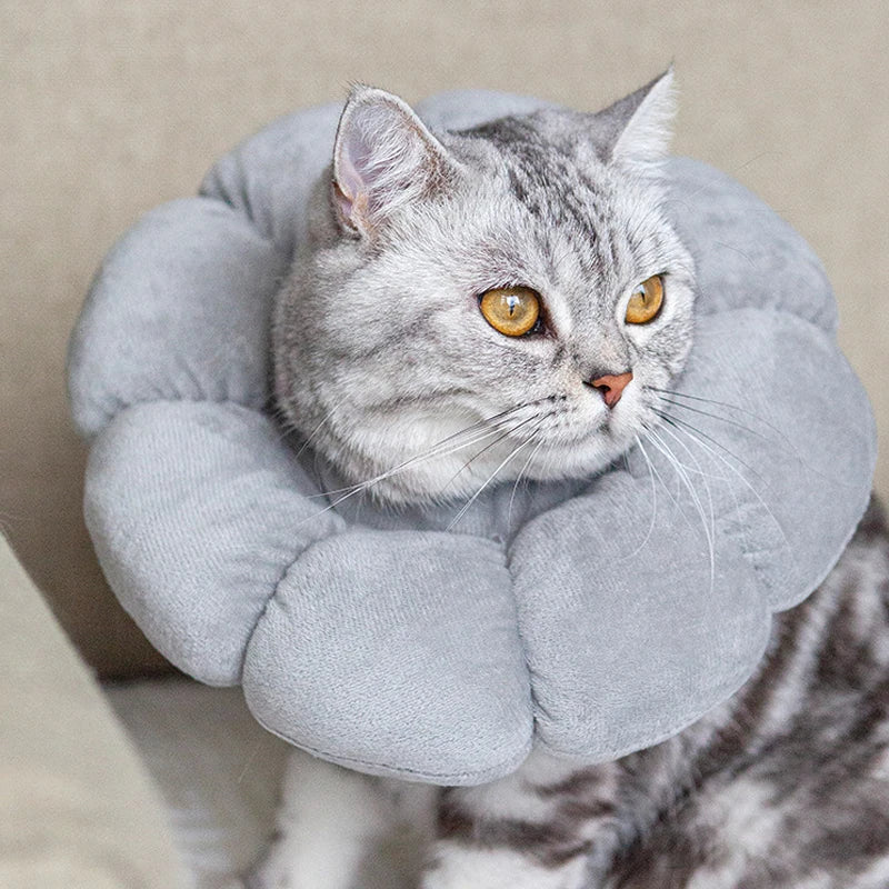 Pet Cat Cone Collar, Cute Elizabethan Cat Collar, Anti-Biting and Licking Wound Treatment Safe Cat Recovery Collar