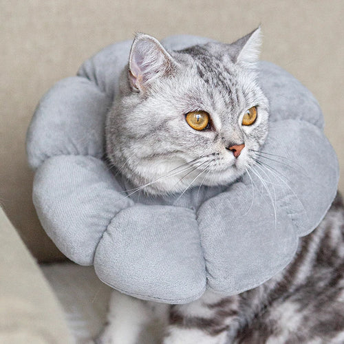 Pet Cat Cone Collar, Cute Elizabethan Cat Collar, Anti-Biting and Licking Wound Treatment Safe Cat Recovery Collar